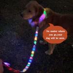 Rechargeable LED Reflective Dog Collar - Large Green