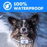 Smart Dog Anti-Bark Collar with Vibration and Sound