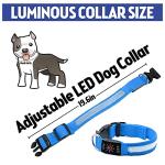 USB Rechargeable LED Reflective Dog Collar (Blue, M)