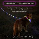 Rechargeable LED Reflective Dog Collar - Large Green