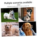 USB Rechargeable LED Dog Collar Light for Safety