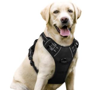 Rabbitgoo No-Pull Dog Harness with 2 Leash Clips