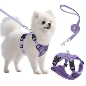 Ychpaw Adjustable Small Dog Harness and Leash Set