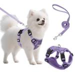Ychpaw Adjustable Small Dog Harness and Leash Set