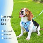 Jolifield Adjustable No Pull Dog Harness & Leash