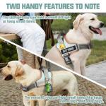 Comfortable Dog Harness and Leash Set for Training
