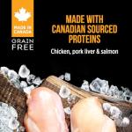 Nutrience Grain Free Subzero Wet Dog Food 369g