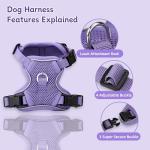 Ychpaw Adjustable Small Dog Harness and Leash Set