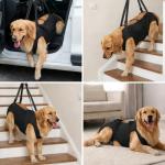 Dog Lift Harness for Senior Dogs, Adjustable Support