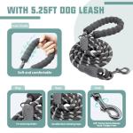 Comfortable Dog Harness and Leash Set for Training