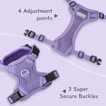 Ychpaw Adjustable Small Dog Harness and Leash Set