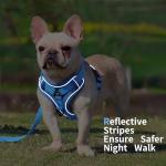 Jolifield Adjustable No Pull Dog Harness & Leash