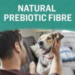 Beyond Natural Wet Dog Food, Cod & Salmon 12 Pack