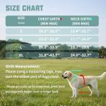 Comfortable Dog Harness and Leash Set for Training