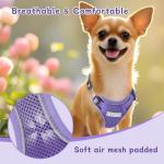 Ychpaw Adjustable Small Dog Harness and Leash Set
