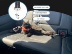 Adjustable Dog Seat Belt with Elastic Bungee