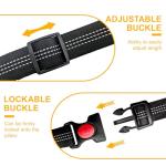 Adjustable 2-Pack Dog Car Seat Belt Harness