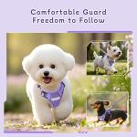Ychpaw Adjustable Small Dog Harness and Leash Set