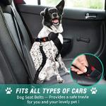 COOYOO Adjustable Retractable Dog Seat Belt