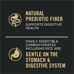 Purina Pro Plan Salmon & Rice Wet Dog Food