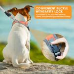 No Pull Dog Harness and Leash Set, Orange