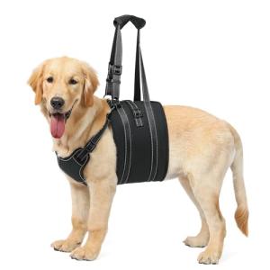 Adjustable Dog Lift Harness for Seniors