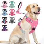 Adjustable No Pull Dog Harness & Leash Set
