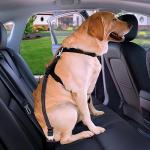 Adjustable Dog Seat Belt for Car Safety