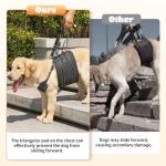 Adjustable Dog Lift Harness for Seniors