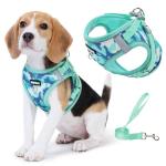 Adjustable Soft Padded Dog Harness and Leash Set