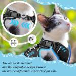 Adjustable Cat Harness and Leash Set, Black
