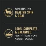 Purina Pro Plan Wet Dog Food Variety Pack