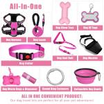 Adjustable No Pull Dog Harness and Leash Set