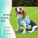 Adjustable Soft Padded Dog Harness and Leash Set