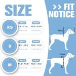 LetPetRun Blind Dog Halo Harness for Safe Movement