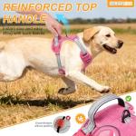 Adjustable No Pull Dog Harness & Leash Set