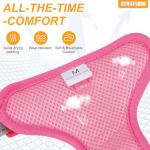 Adjustable No Pull Dog Harness & Leash Set