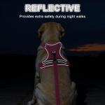 Adjustable No Pull Dog Harness & Leash Set