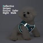 Adjustable Soft Padded Dog Harness and Leash Set