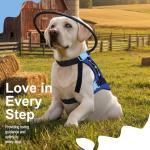 LetPetRun Blind Dog Halo Harness for Safe Movement