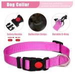 Adjustable No Pull Dog Harness and Leash Set