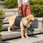 Adjustable Dog Lift Harness for Seniors