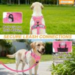 Adjustable No Pull Dog Harness & Leash Set