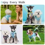Adjustable Soft Padded Dog Harness and Leash Set