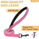 Adjustable No Pull Dog Harness & Leash Set