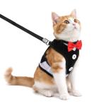 Adjustable Cat Harness and Leash Set - Escape Proof