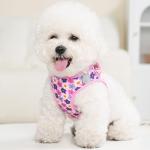 XXS Step-In Dog Harness and Leash Set