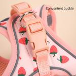 Flower Print Step-In Dog Harness and Leash Set