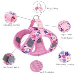 XXS Step-In Dog Harness and Leash Set