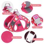 Flower Print Step-In Dog Harness and Leash Set